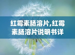 红霉素肠溶片,红霉素肠溶片说明书详细说明书