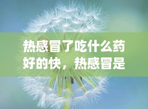 热感冒了吃什么药好的快，热感冒是什么原因引起的