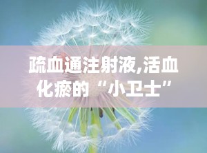 疏血通注射液,活血化瘀的“小卫士”