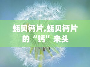蚝贝钙片,蚝贝钙片的“钙”来头