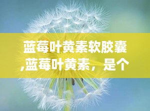 蓝莓叶黄素软胶囊,蓝莓叶黄素，是个啥玩意儿？