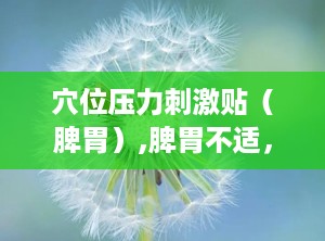 穴位压力刺激贴（脾胃）,脾胃不适，你真的了解它吗？