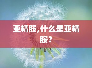 亚精胺,什么是亚精胺？