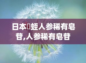 日本龍蛭人参稀有皂苷,人参稀有皂苷