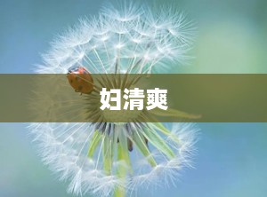 妇清爽
