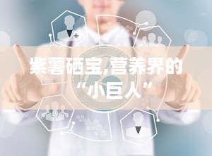紫薯硒宝,营养界的“小巨人”