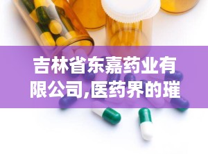 吉林省东嘉药业有限公司,医药界的璀璨明珠