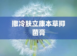 撒冷肤立康本草抑菌膏