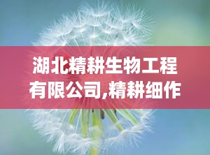 湖北精耕生物工程有限公司,精耕细作，匠心独运