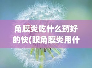 角膜炎吃什么药好的快(眼角膜炎用什么药)
