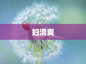 妇清爽