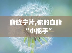 脂降宁片,你的血脂“小能手”