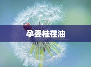 孕婴桂荏油