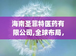 海南圣菲特医药有限公司,全球布局，业务遍布五大洲