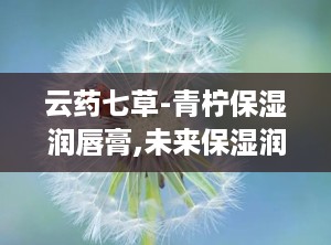 云药七草-青柠保湿润唇膏,未来保湿润唇膏