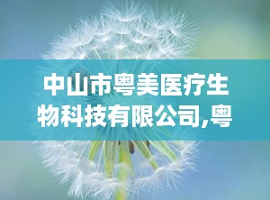 中山市粤美医疗生物科技有限公司,粤美医疗，健康守护者的摇篮