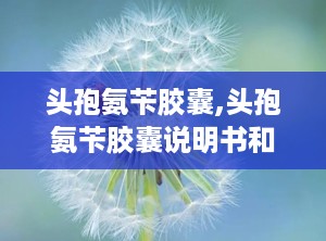 头孢氨苄胶囊,头孢氨苄胶囊说明书和用法用量