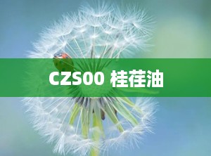 CZS00 桂荏油