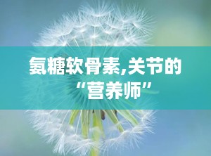氨糖软骨素,关节的“营养师”