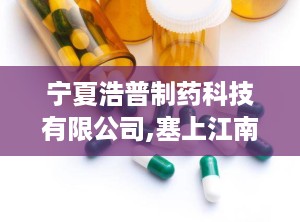 宁夏浩普制药科技有限公司,塞上江南的医药明珠