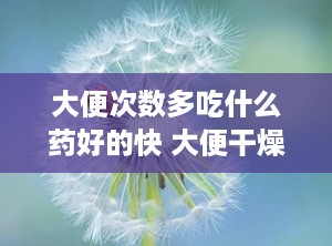 大便次数多吃什么药好的快 大便干燥吃什么食物好