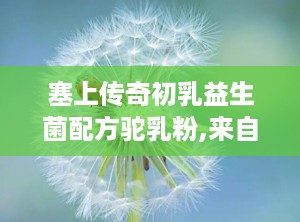 塞上传奇初乳益生菌配方驼乳粉,来自沙漠的珍贵礼物