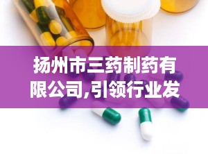 扬州市三药制药有限公司,引领行业发展的“引擎”