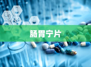 肠胃宁片