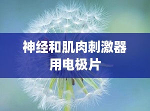 神经和肌肉刺激器用电极片