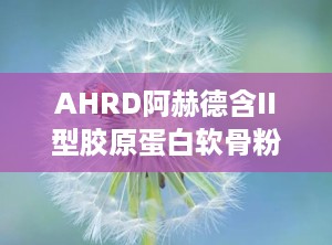 AHRD阿赫德含II型胶原蛋白软骨粉压片糖果,二型胶原蛋白软骨粉