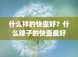 什么样的快壶好？什么牌子的快壶最好