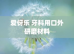 爱伢乐 牙科用口外研磨材料
