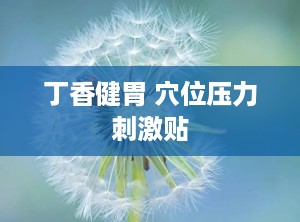 丁香健胃 穴位压力刺激贴