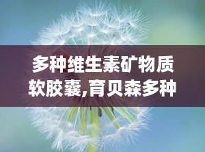 多种维生素矿物质软胶囊,育贝森多种维生素矿物质软胶囊