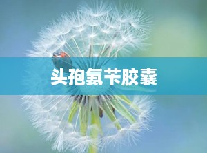 头孢氨苄胶囊