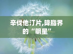 辛伐他汀片,降脂界的“明星”