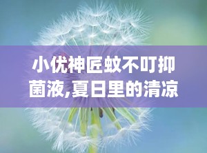小优神匠蚊不叮抑菌液,夏日里的清凉守护者