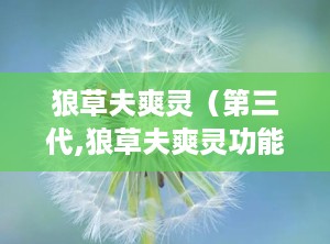 狼草夫爽灵（第三代,狼草夫爽灵功能与功效