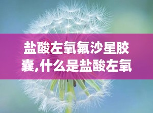 盐酸左氧氟沙星胶囊,什么是盐酸左氧氟沙星胶囊？
