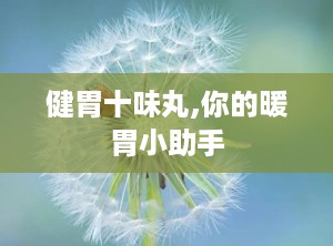 健胃十味丸,你的暖胃小助手