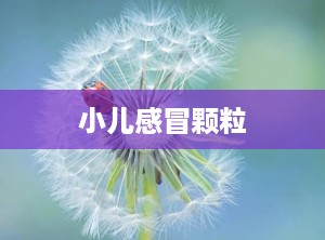 小儿感冒颗粒