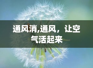 通风消,通风，让空气活起来