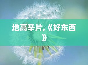 地高辛片,《好东西》