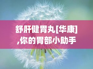 舒肝健胃丸[华康],你的胃部小助手