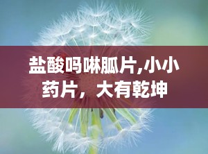盐酸吗啉胍片,小小药片，大有乾坤