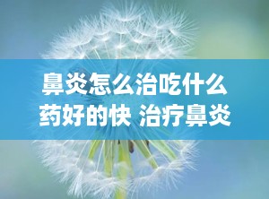 鼻炎怎么治吃什么药好的快 治疗鼻炎吃什么药