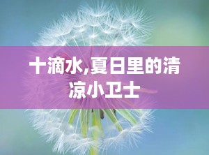 十滴水,夏日里的清凉小卫士