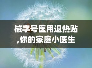 械字号医用退热贴,你的家庭小医生