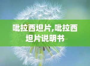 吡拉西坦片,吡拉西坦片说明书