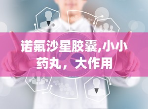诺氟沙星胶囊,小小药丸，大作用